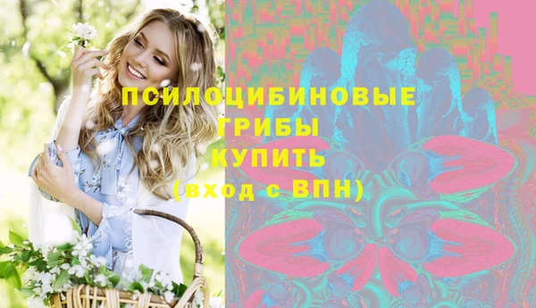 эйфоретик Коряжма