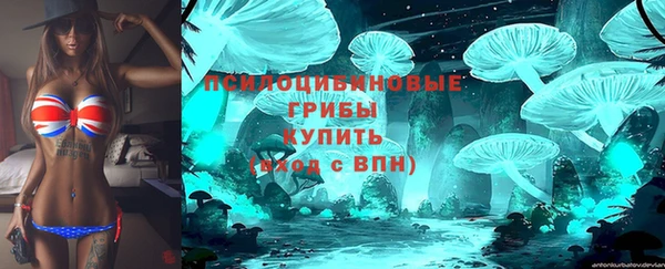 не бодяженный Краснотурьинск