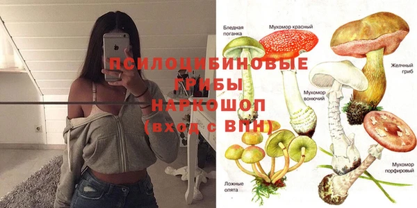 не бодяженный Краснотурьинск