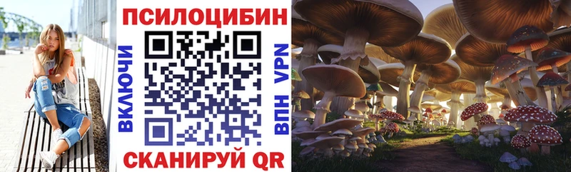 Купить  Нягань  Псилоцибиновые грибы GOLDEN TEACHER 